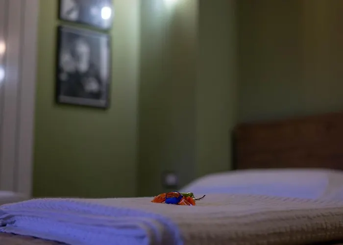 Apartament Sud E Magia *